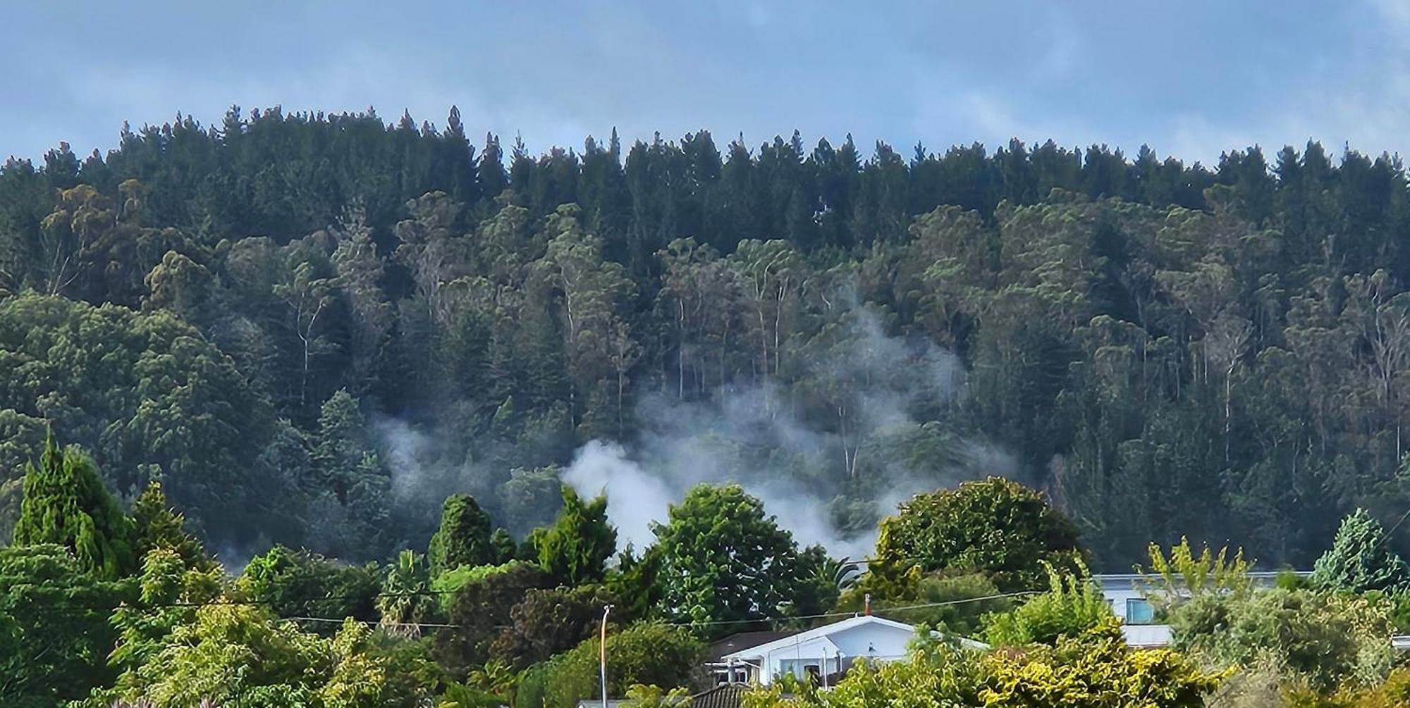 Redwood Apartments Rotorua Exterior photo